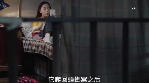 失踪孩子神秘人爆料视频,神秘人视频揭秘失踪孩子案件背后惊人真相