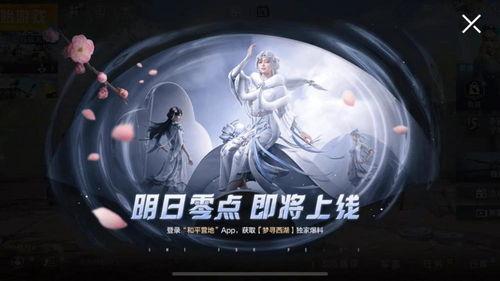 流星男主被爆料视频,揭秘背后真相与争议  第3张