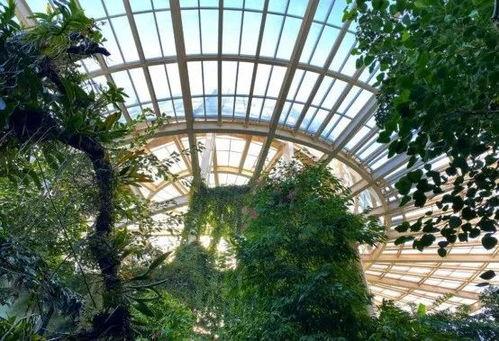 昆明植物园爆料视频大全,探秘植物王国奇观 第1张 昆明植物园爆料视频大全,探秘植物王国奇观 第1张